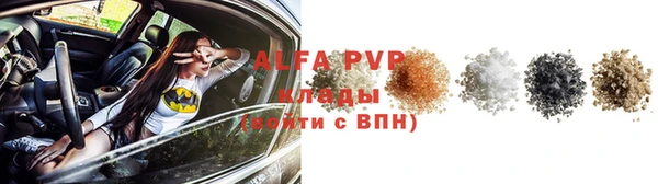 apvp Богданович